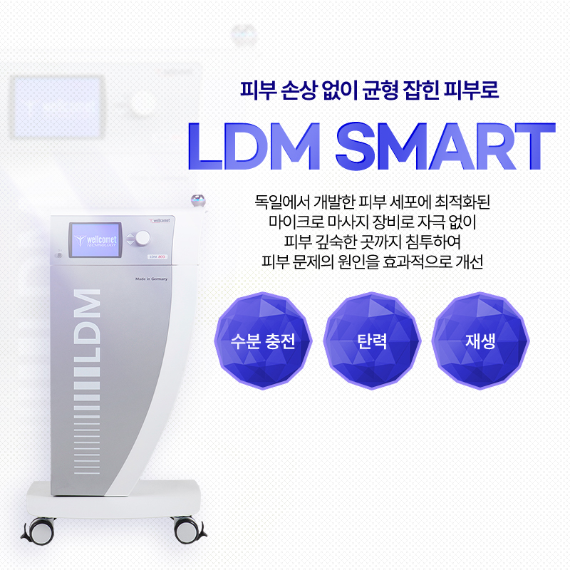 LDM 스마트 - 판교점